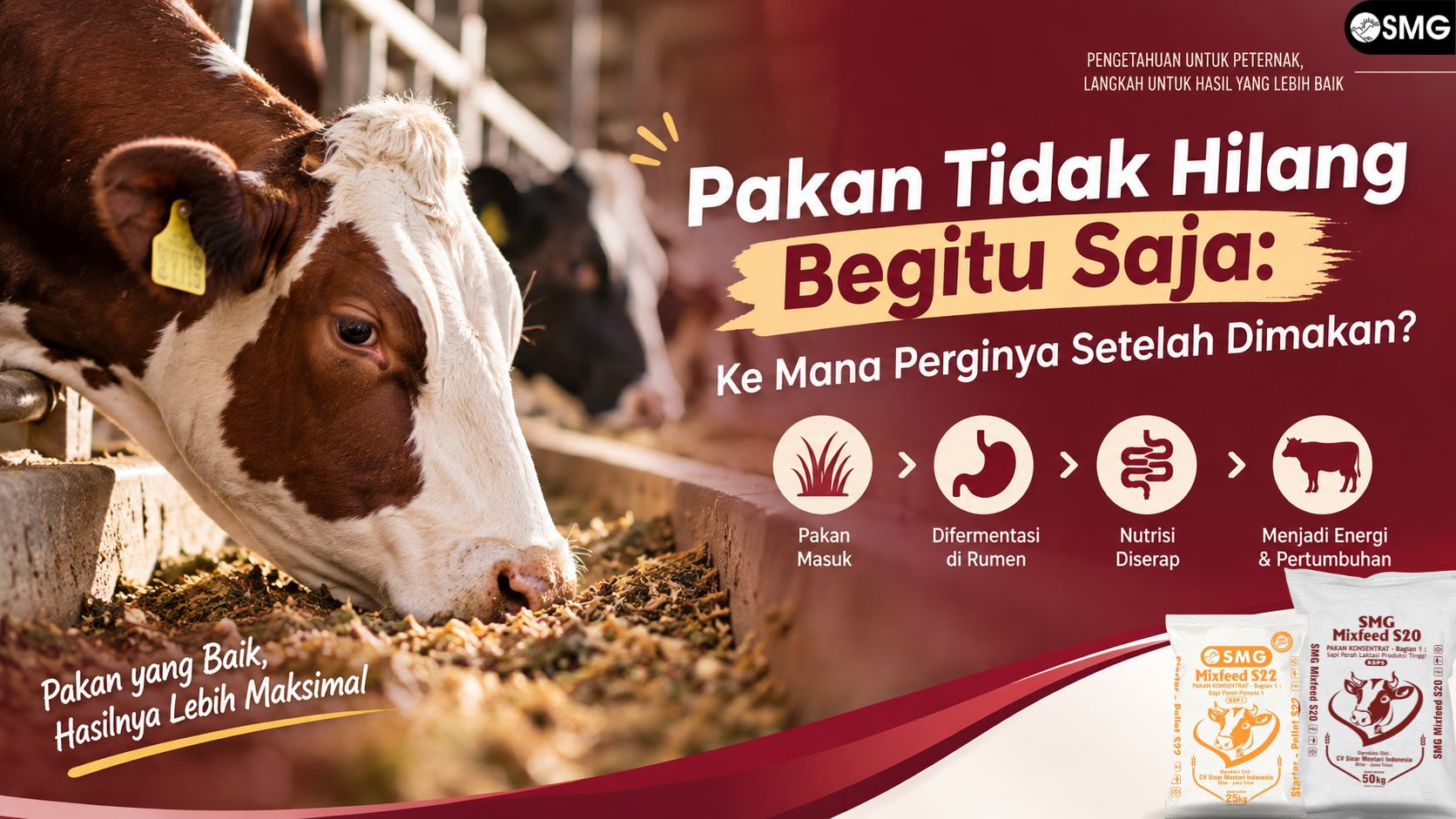 blog-image